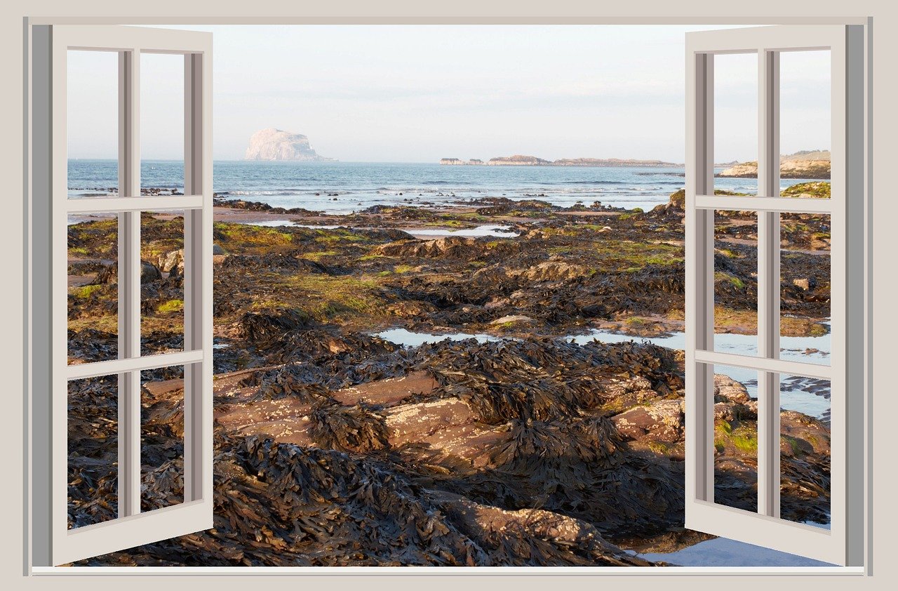 window, view, seashore, coast, bass rock, north berwick, scotland, seascape, open window, rocks, shoreline, window view, sea view, open window, open window, open window, open window, open window, window view, window view